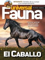 Fauna Universal